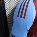 ASTON VILLA DOMICILE 2024/2025