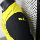 DORTMUND DOMICILE 2024/2025