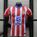 ATLETICO MADRID DOMICILE 2024/2025